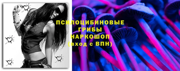 прущие грибы Кинешма