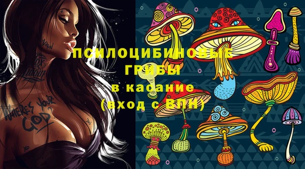 ПСИЛОЦИБИНОВЫЕ ГРИБЫ Козельск