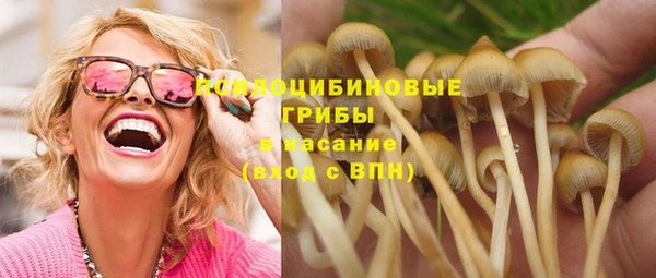 ПСИЛОЦИБИНОВЫЕ ГРИБЫ Козельск
