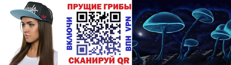 Псилоцибиновые грибы Psilocybine cubensis  цена   Ханты-Мансийск 